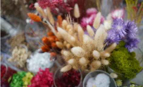 Sony FE 24mm f/2.8 G Lens by  in  - EC MALL