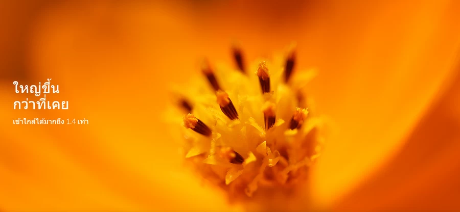 Canon RF 100mm f/2.8L Macro IS USM Lens by  in  - EC MALL