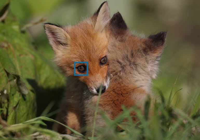 Canon EOS R3 by  in  - EC MALL