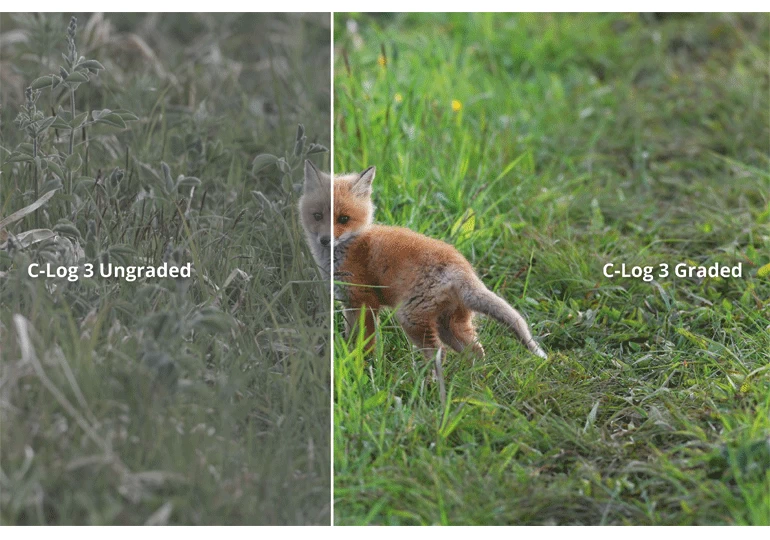 Canon EOS R3 by  in  - EC MALL