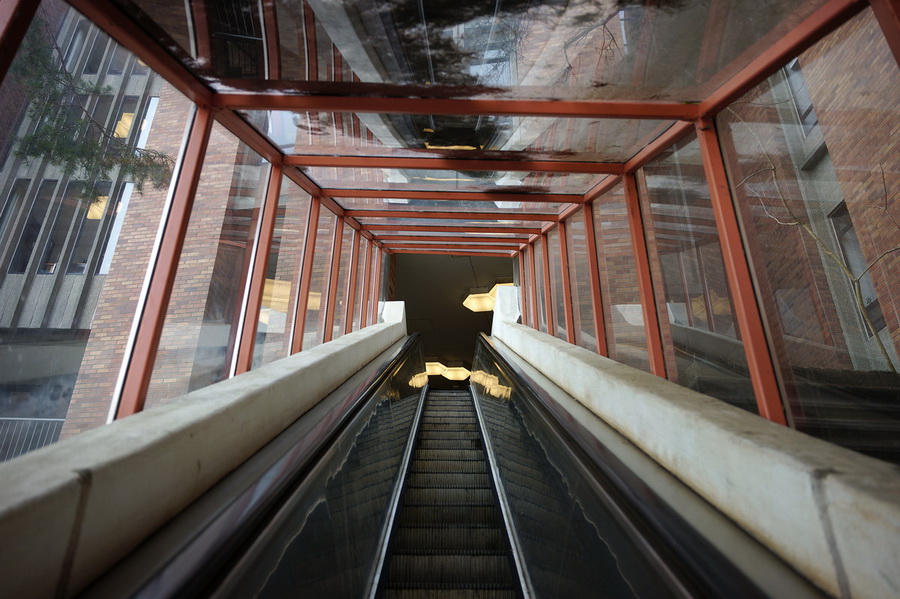 Sigma fp L Mirrorless Camera by  in  - EC MALL