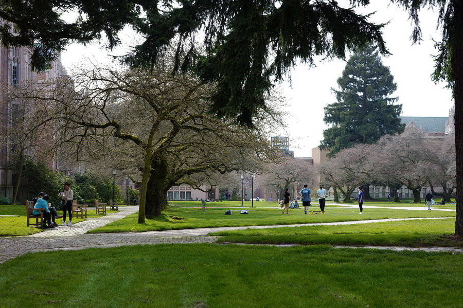 Sigma fp L Mirrorless Camera by  in  - EC MALL