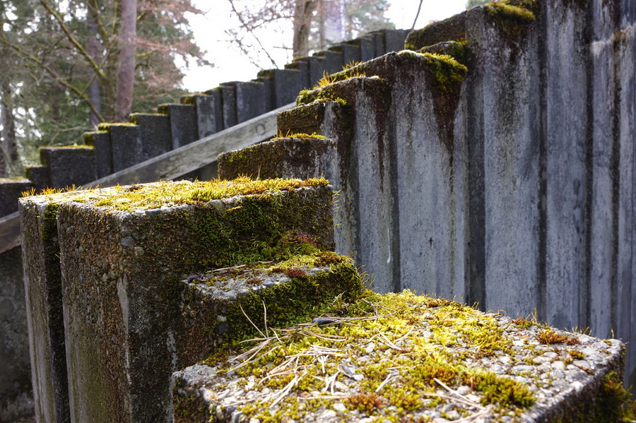 Sigma fp L Mirrorless Camera by  in  - EC MALL