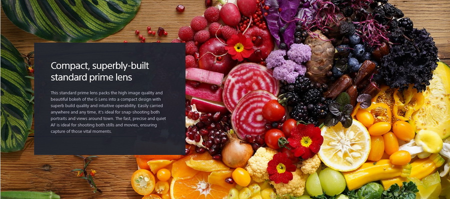 Sony FE 40mm f/2.5 G Lens by  in  - EC MALL