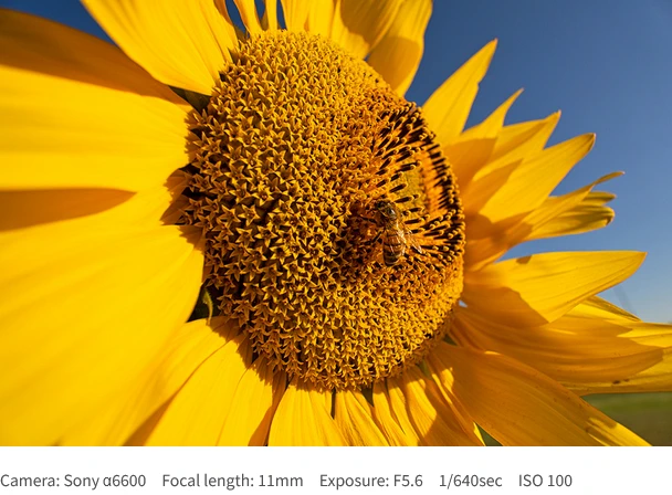 Tamron 11-20mm f/2.8 Di III-A RXD Lens by  in  - EC MALL