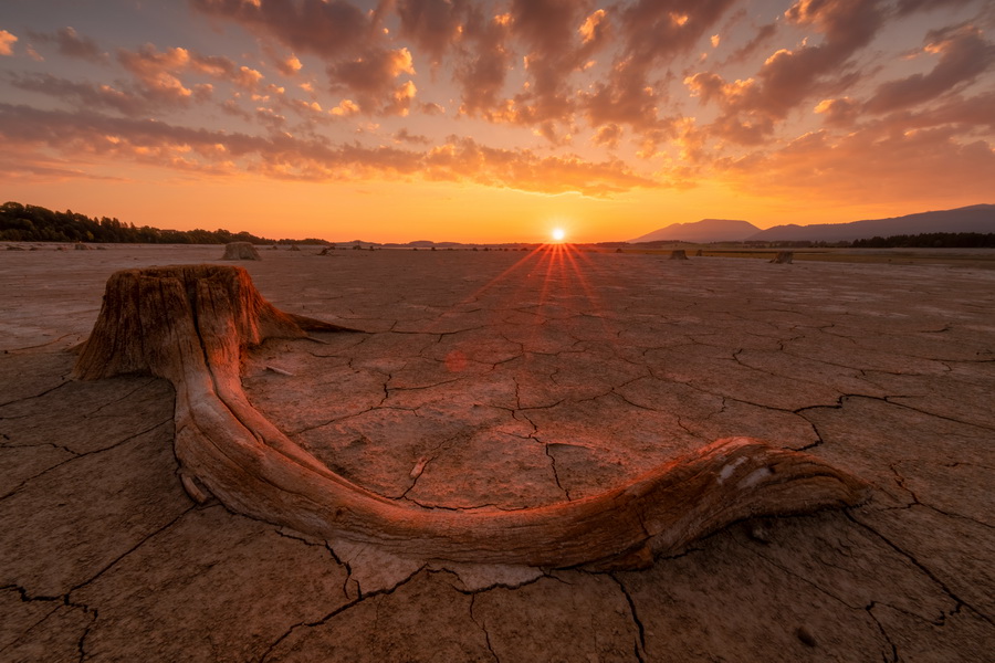 Fujinon XF 8-16mm f/2.8 R LM WR Lens by  in  - EC MALL