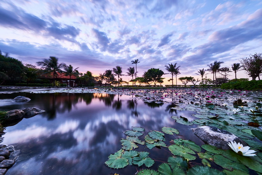 Fujinon XF 8-16mm f/2.8 R LM WR Lens by  in  - EC MALL