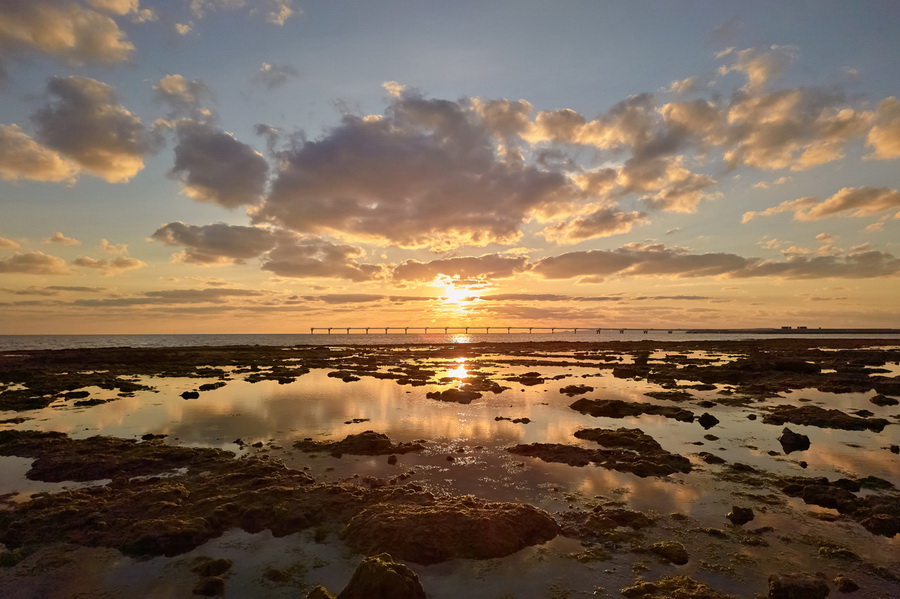 Sharp Aquos R6 by  in  - EC MALL