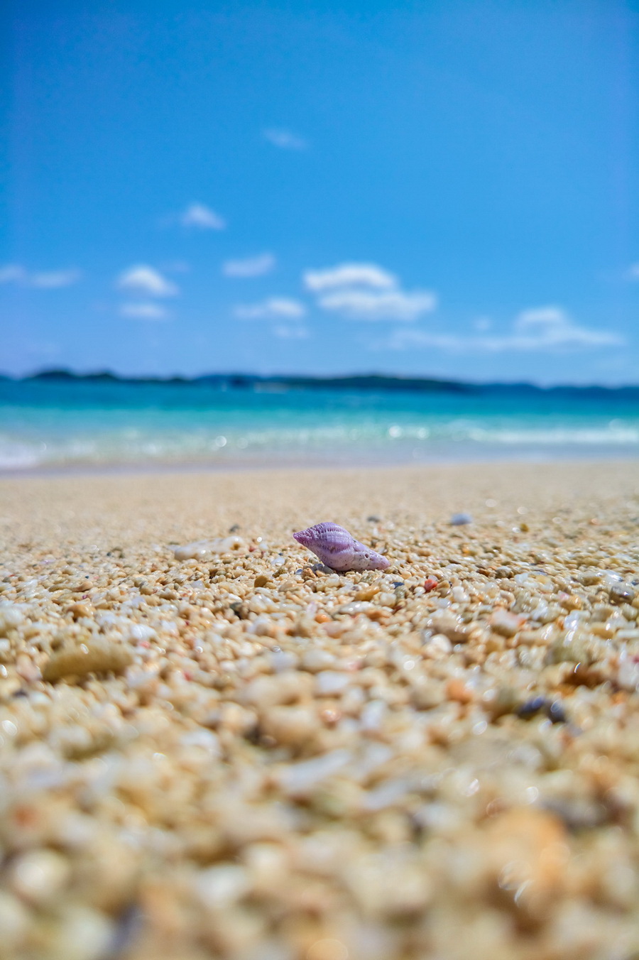 Sharp Aquos R6 by  in  - EC MALL