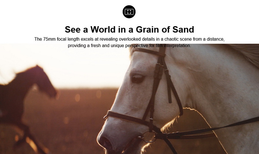 Sirui 75mm f/1.8 1.33x Anamorphic Lens by  in  - EC MALL