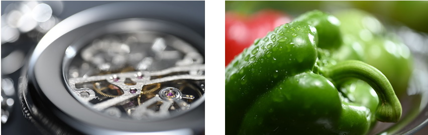 Nikon NIKKOR Z MC 105mm f/2.8 VR S Lens by  in  - EC MALL