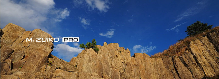 Olympus M.Zuiko Digital ED 8-25mm f/4 PRO Lens by  in  - EC MALL