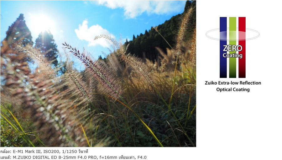 Olympus M.Zuiko Digital ED 8-25mm f/4 PRO Lens by  in  - EC MALL