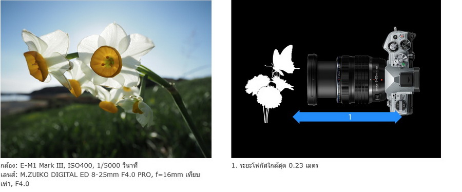 Olympus M.Zuiko Digital ED 8-25mm f/4 PRO Lens by  in  - EC MALL