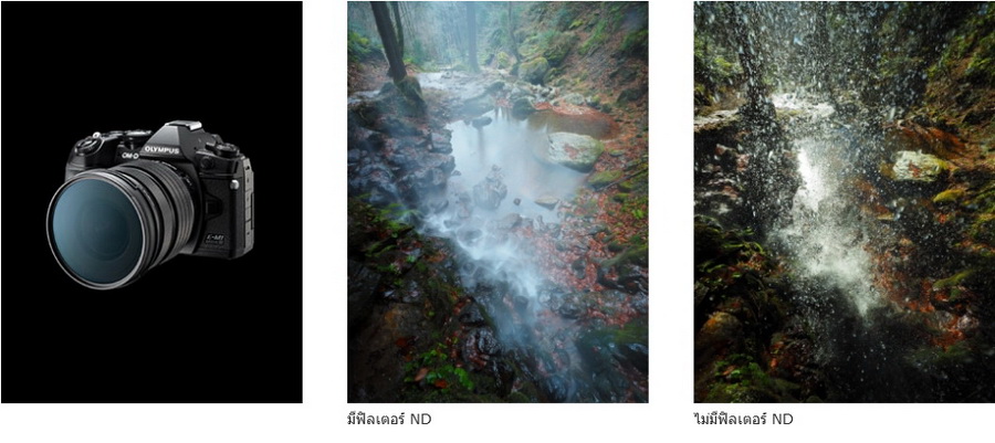 Olympus M.Zuiko Digital ED 8-25mm f/4 PRO Lens by  in  - EC MALL