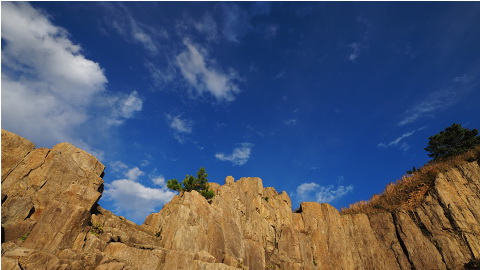 Olympus M.Zuiko Digital ED 8-25mm f/4 PRO Lens by  in  - EC MALL