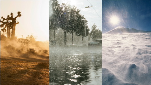 Olympus M.Zuiko Digital ED 8-25mm f/4 PRO Lens by  in  - EC MALL