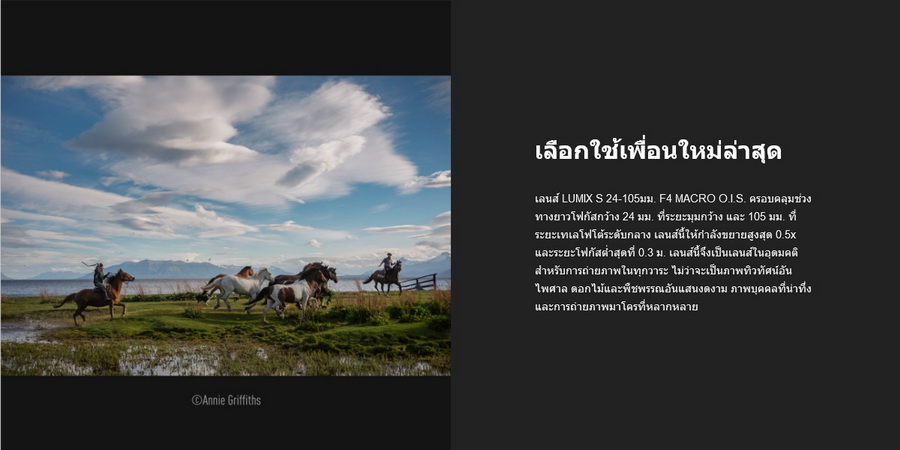 Panasonic Lumix S 24-105mm f/4 Macro O.I.S. Lens (S-R24105GC) by  in  - EC MALL