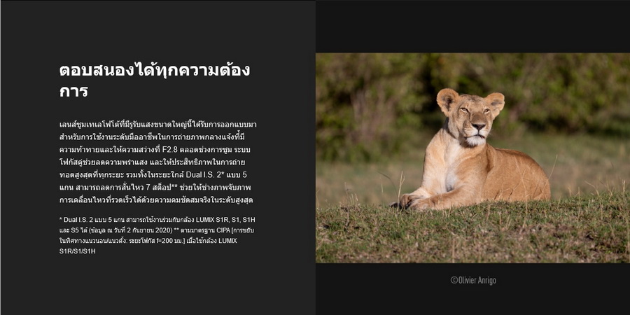 Panasonic Lumix S PRO 70-200mm f/2.8 O.I.S. Lens (S-E70200GC) by  in  - EC MALL