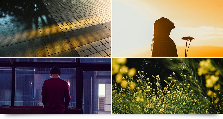 Nikon Z fc Mirrorless Digital Camera by  in  - EC MALL