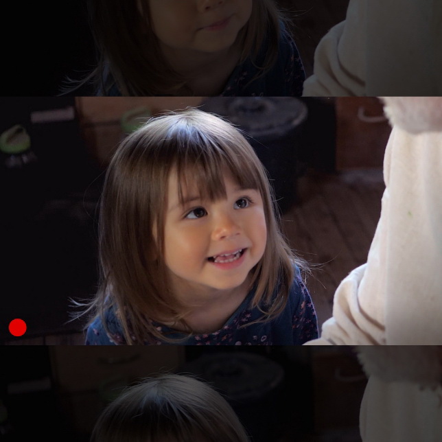 Panasonic Leica DG Vario-Summilux 25-50mm f/1.7 ASPH Lens by in - EC MALL