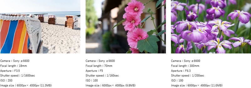 Tamron 18-300mm f/3.5-6.3 Di III-A VC VXD Lens by in - EC MALL