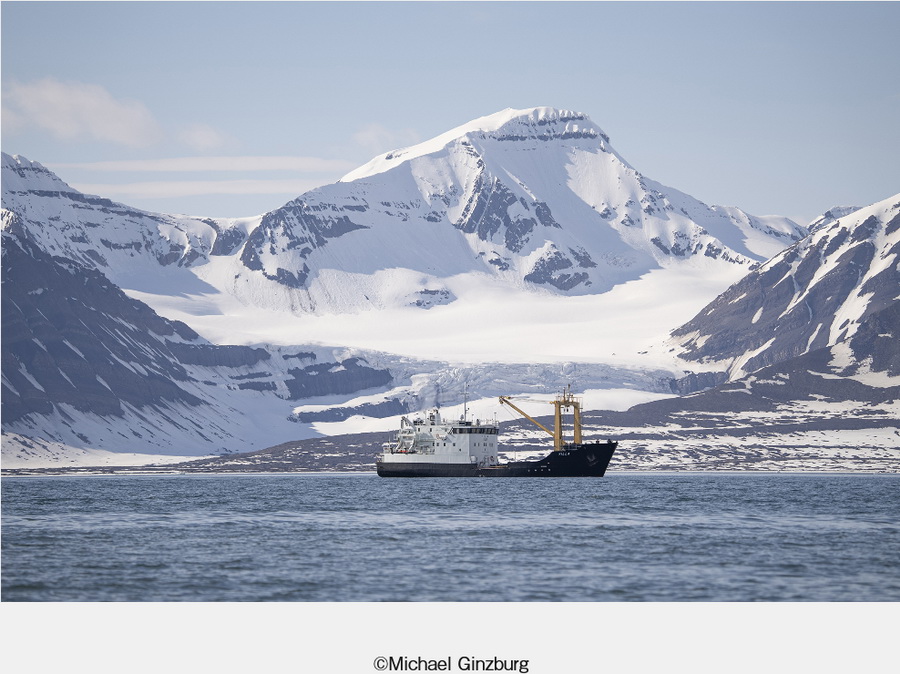 Sigma 150-600mm f/5-6.3 DG DN OS Sports Lens by  in  - EC MALL