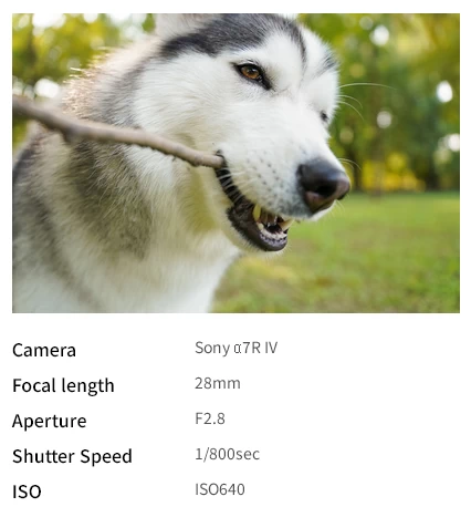 Tamron 28-75mm f/2.8 Di III VXD G2 (Model A063) For Sony E by  in  - EC MALL