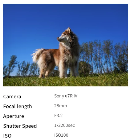 Tamron 28-75mm f/2.8 Di III VXD G2 (Model A063) For Sony E by  in  - EC MALL