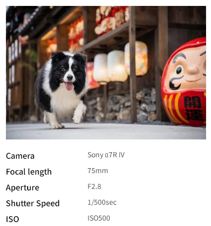 Tamron 28-75mm f/2.8 Di III VXD G2 (Model A063) For Sony E by  in  - EC MALL