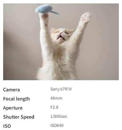 Tamron 28-75mm f/2.8 Di III VXD G2 (Model A063) For Sony E by  in  - EC MALL