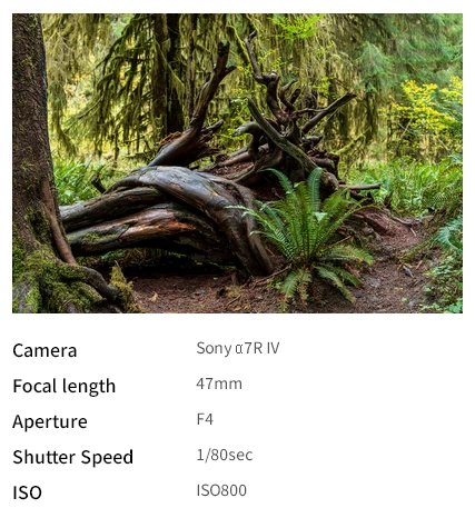 Tamron 28-75mm f/2.8 Di III VXD G2 (Model A063) For Sony E by  in  - EC MALL