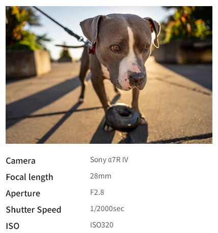 Tamron 28-75mm f/2.8 Di III VXD G2 (Model A063) For Sony E by  in  - EC MALL