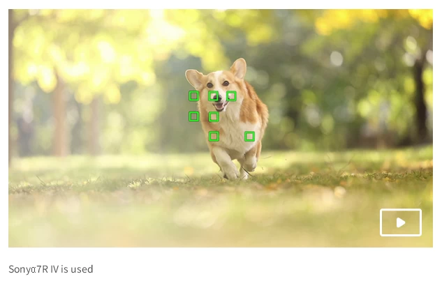 Tamron 28-75mm f/2.8 Di III VXD G2 (Model A063) For Sony E by  in  - EC MALL