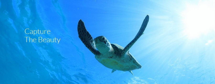 Canon RF 16mm f/2.8 STM Lens by in - EC MALL