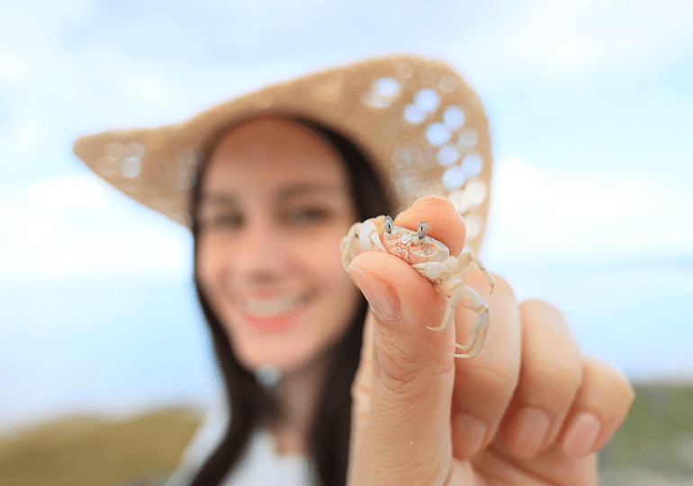 Canon RF 16mm f/2.8 STM Lens by  in  - EC MALL