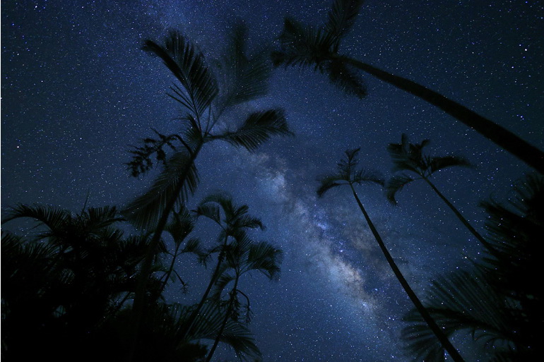 Canon RF 16mm f/2.8 STM Lens by  in  - EC MALL