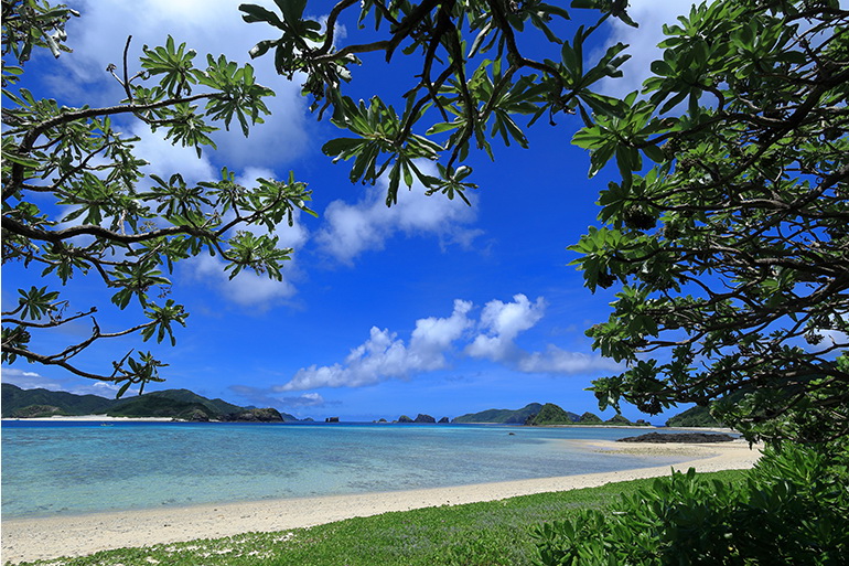 Canon RF 16mm f/2.8 STM Lens by  in  - EC MALL