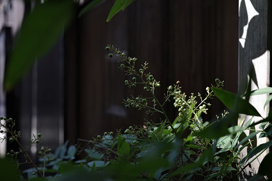 Ricoh GR IIIx Digital Camera by  in  - EC MALL