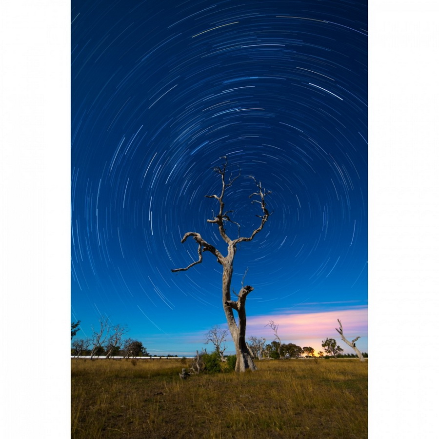 Samyang MF 14mm f/2.8 RF Lens for Canon RF by  in  - EC MALL