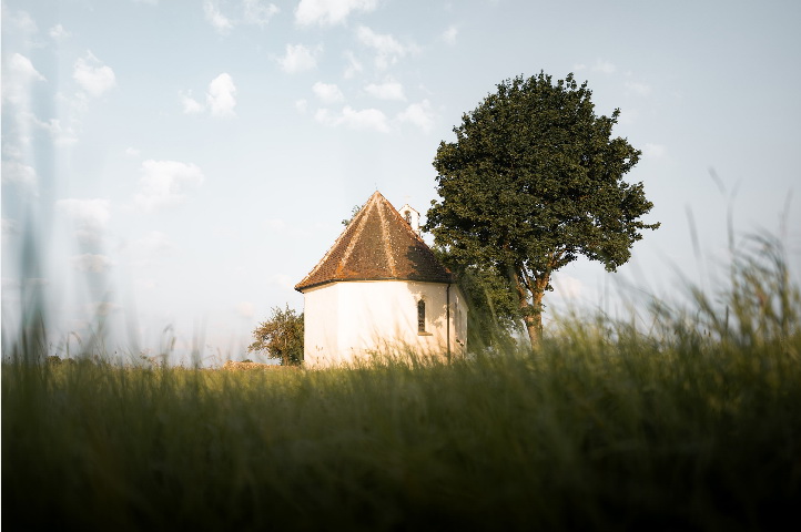 Sigma 24mm f/2 DG DN (C) Lens by  in  - EC MALL