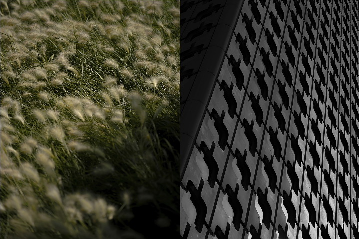 Sigma 90mm f/2.8 DG DN (C) Lens by  in  - EC MALL