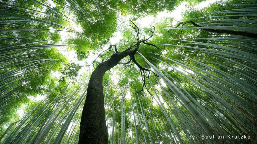 TTArtisan 11mm f/2.8 Fisheye Lens by  in  - EC MALL