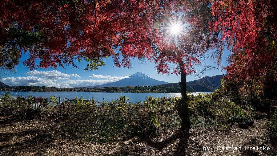 TTArtisan 11mm f/2.8 Fisheye Lens by  in  - EC MALL