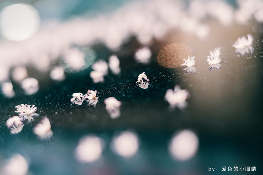 TTArtisan 50mm f/1.4 ASPH Lens for Leica M by  in  - EC MALL