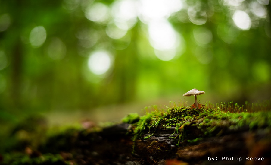 TTArtisan 50mm f/1.4 ASPH Lens for Leica M by  in  - EC MALL