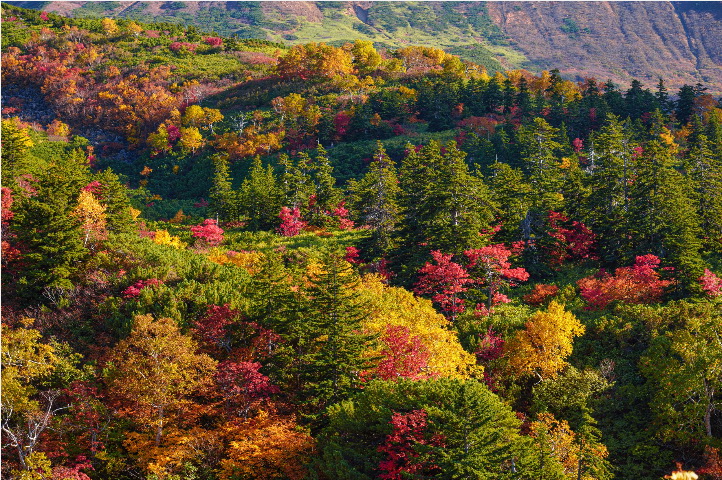 Sigma 18-50mm f/2.8 DC DN (C) Lens by  in  - EC MALL