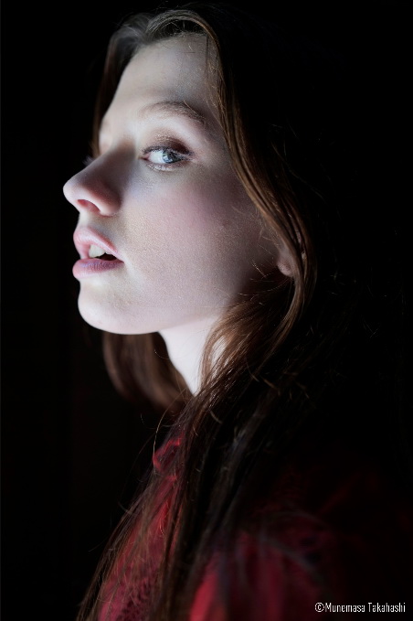 Panasonic Lumix S 35mm f/1.8 Lens by  in  - EC MALL