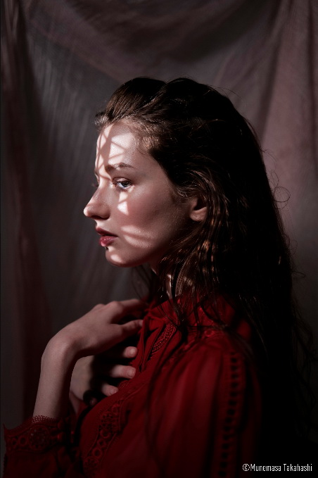 Panasonic Lumix S 35mm f/1.8 Lens by  in  - EC MALL