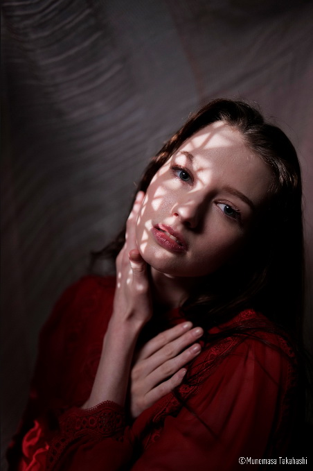 Panasonic Lumix S 35mm f/1.8 Lens by  in  - EC MALL